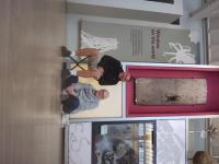 /home//u458753944/public_html/sourcegallery//other/uk 2023/edinburgh/IMG_20230913_155627395.jpg